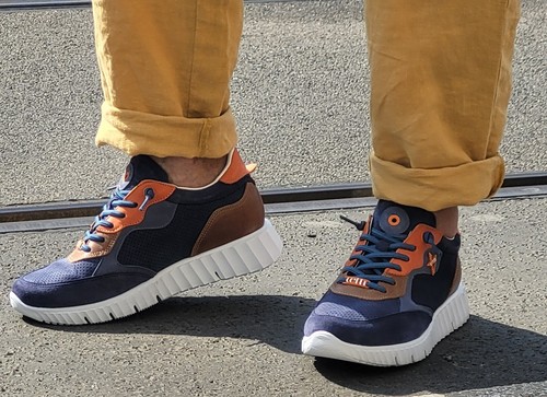 Scarpa cetti 1384 ante - cetti,